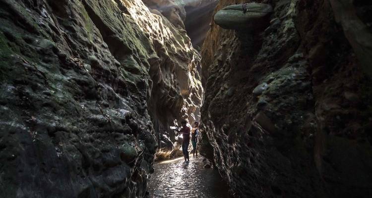 Himalayan Retreat: Dehradun Gateway Tour - Agora Voyages OPC Pvt Ltd 6