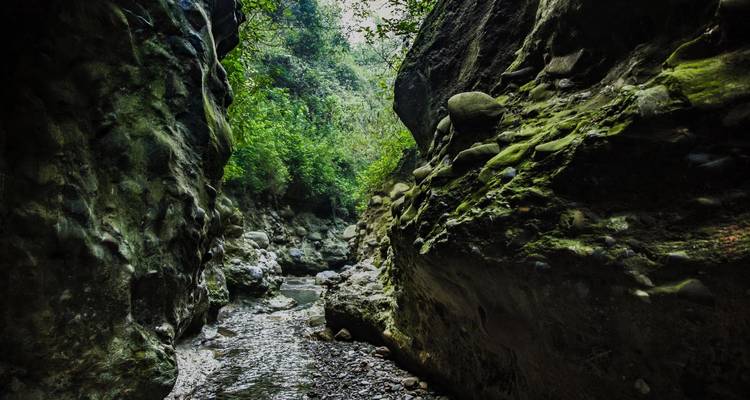 A narrow gorge with lush greenery and a small stream.