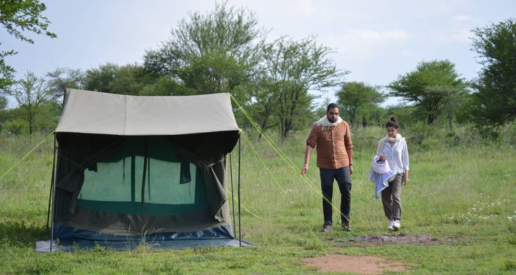 5-Days Private Budget Safari: Tarangire, Serengeti & Ngorongoro - African Polecat Safaris 9