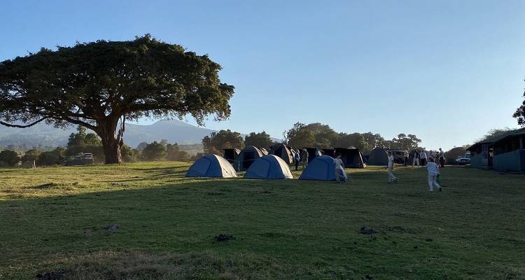 5-Days Private Budget Safari: Tarangire, Serengeti & Ngorongoro - African Polecat Safaris 3