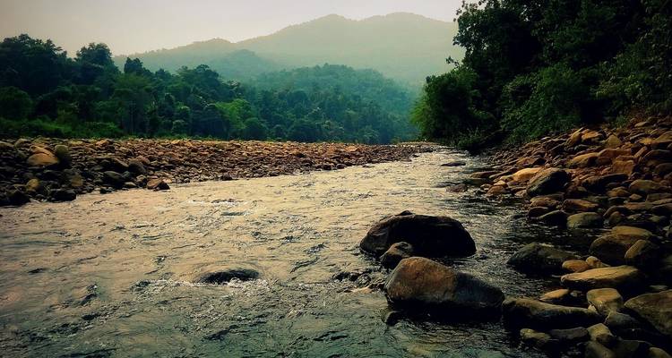 Explorando la Reserva de Tigres de Similipal desde Bhubaneshwar - Agora Voyages OPC Pvt Ltd 1