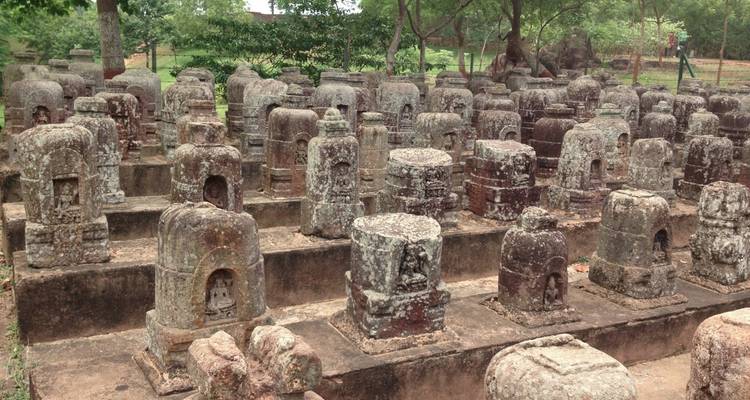 Explorando la Reserva de Tigres de Similipal desde Bhubaneshwar - Agora Voyages OPC Pvt Ltd 3