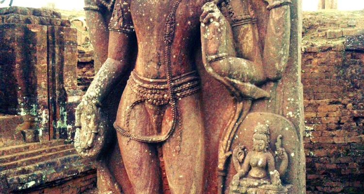 Explorando la Reserva de Tigres de Similipal desde Bhubaneshwar - Agora Voyages OPC Pvt Ltd 4