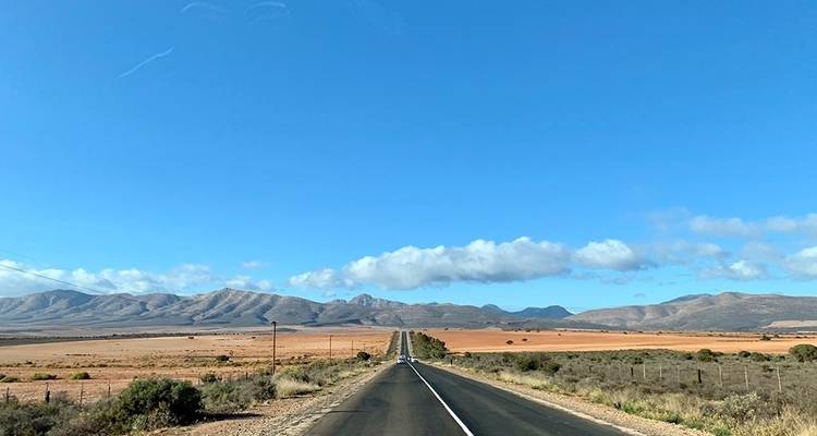 Le Cap, la Route des jardins et l'aventure Addo 10J/9N - Bamba Travel 1