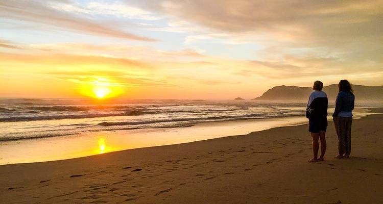 Le Cap, la Route des jardins et l'aventure Addo 10J/9N - Bamba Travel 2