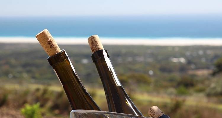 Le Cap, la Route des jardins et l'aventure Addo 10J/9N - Bamba Travel 5