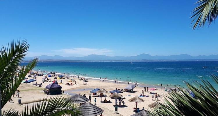 Le Cap, la Route des jardins et l'aventure Addo 10J/9N - Bamba Travel 9