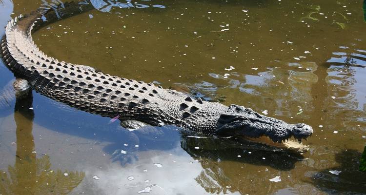 Australie : Aventure dans le nord du Queensland - Contiki 8