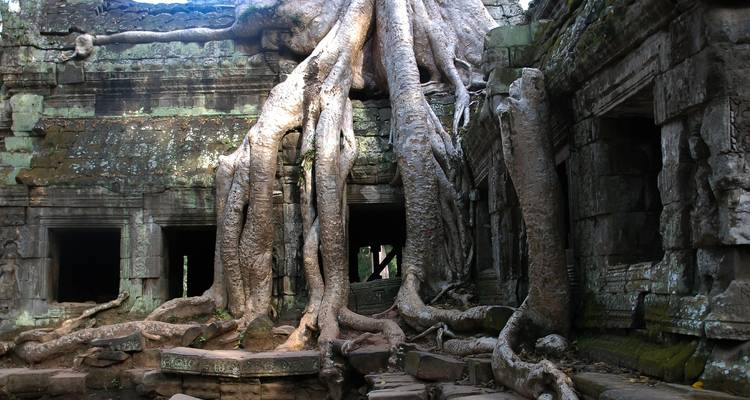 Templo Ta Prohm con grandes raíces de árboles sobre ruinas antiguas.