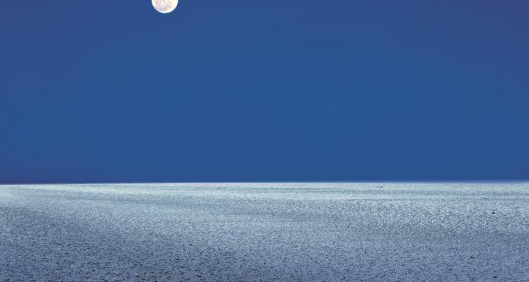 Een sereen landschap van een door maanlicht verlichte woestijn met een volle maan erboven.