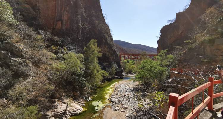 Oaxaca depuis Mexico : Faites la visite la plus éloignée des sentiers battus - Vibe Adventures 8