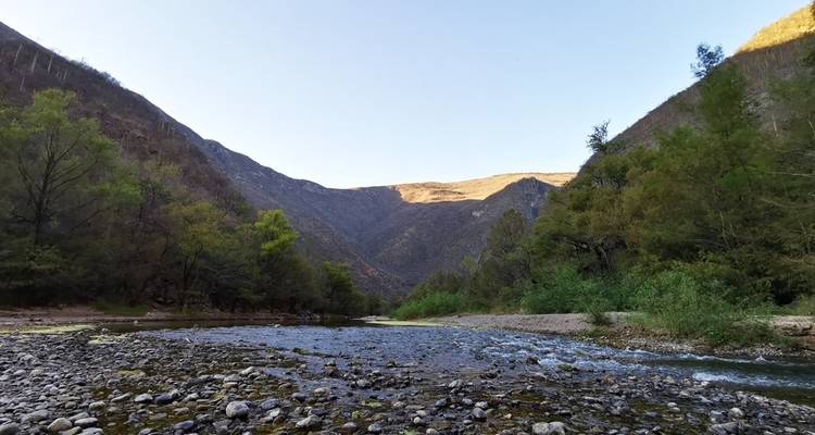 Oaxaca depuis Mexico : Faites la visite la plus éloignée des sentiers battus - Vibe Adventures 9