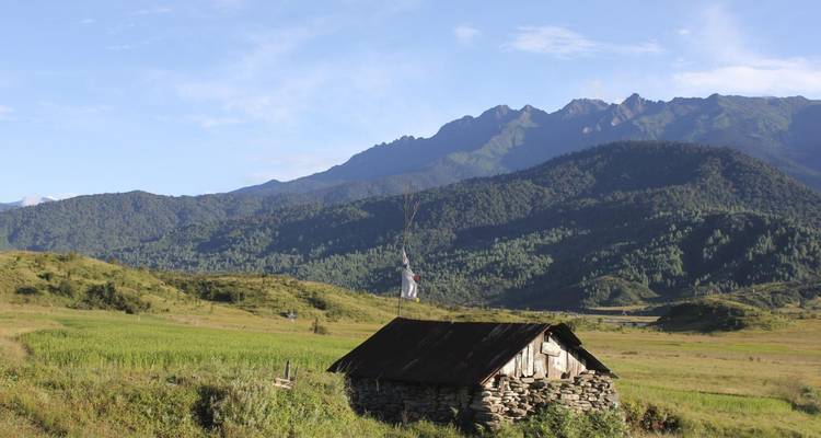 Assam to Arunachal: Biodiversity and Buddhist Heritage Journey - Agora Voyages OPC Pvt Ltd 8