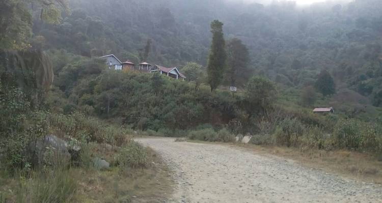 A countryside road leading to cabins on a hillside.