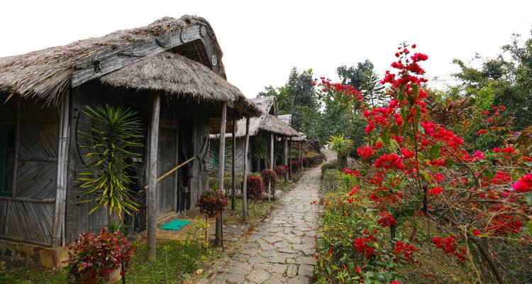 Thatched huts along a pathway lined with red flowers.