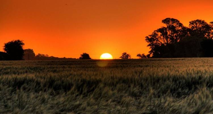 6 Days PRIVATE Experience to enjoy Buenos Aires in a relaxed and luxurious way. Come ... Do not cry for me !!! - Signature DMC 6