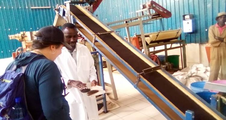 9 Days Rwanda – Uganda Gorilla trekking Experience - New Horizon Africa Safaris 6