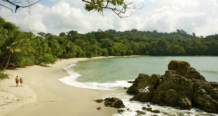 Exploration de la faune et de la flore du Costa Rica - Green World Adventures 4