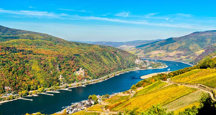 Vue panoramique sur les Gorges du Rhin avec des collines couvertes de vignobles, une rivière sinueuse et des châteaux perchés sur les collines
