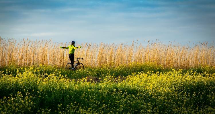 Semana ciclista en Bohemia: 8 fantásticos días deportivos - Prague Best Experience 1