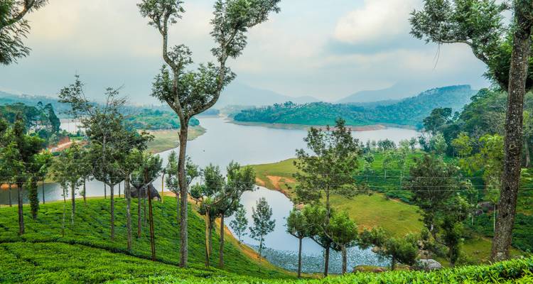 Vue panoramique d'un lac entouré de plantations de thé luxuriantes and de montagnes.