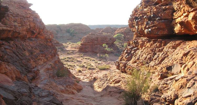 Australie : Explorateur d'Uluru - Contiki 2