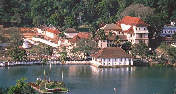 11-DAY LUXURY WELLNESS TOUR: YOGA RETREATS IN SRI LANKA - Tweet World Travel 6