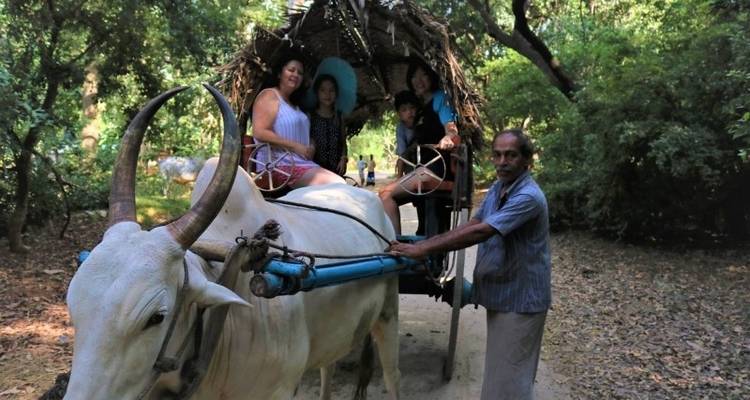 11-DAY LUXURY WELLNESS TOUR: YOGA RETREATS IN SRI LANKA - Tweet World Travel 7