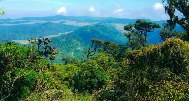 Sri Lanka Tour Package For 7 Days - Holiday Lanka Tours 4