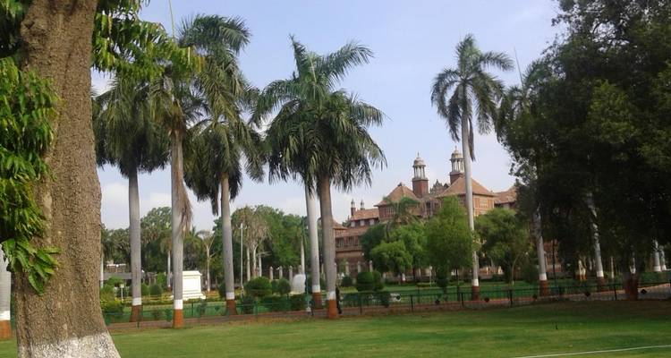 Garten mit Palmen und einem historischen Gebäude im Hintergrund.