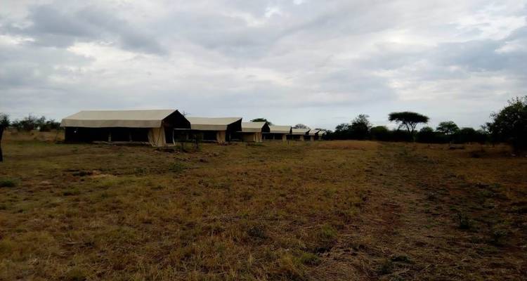 Best Northern Tanzania Big 5 Wildlife Safari- Comfort - Gracepatt Ecotours Kenya 3