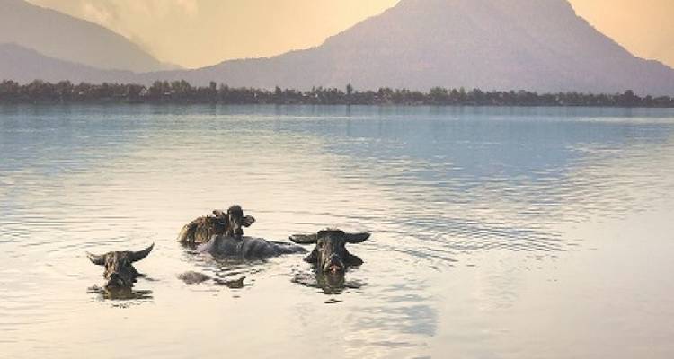CIRCUIT DE DÉCOUVERTE DE LA THAÏLANDE ET DU LAOS - Tweet World Travel 9