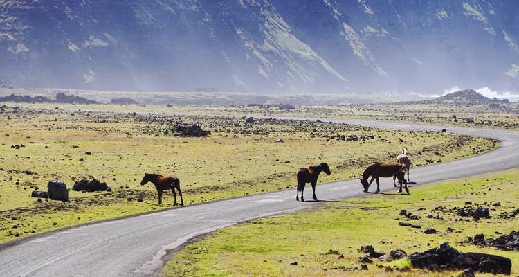 South American Odyssey with Amazon & Easter Island - Globus 1