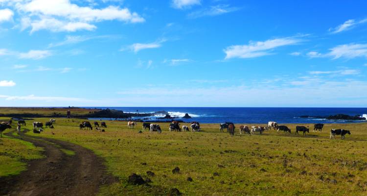 Odisea Sudamericana con la Isla de Pascua - Globus 1