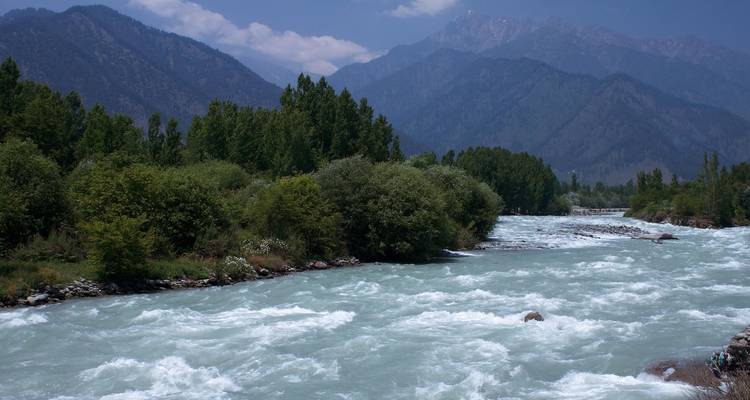 Une rivière au débit rapide avec des montagnes et des arbres le long des berges.