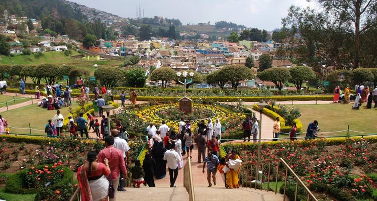 Serene Nilgiris: Ooty and Coonoor Discovery Tour - Agora Voyages OPC Pvt Ltd 2