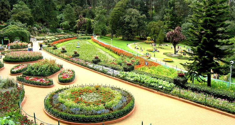 Serene Nilgiris: Ooty and Coonoor Discovery Tour - Agora Voyages OPC Pvt Ltd 3