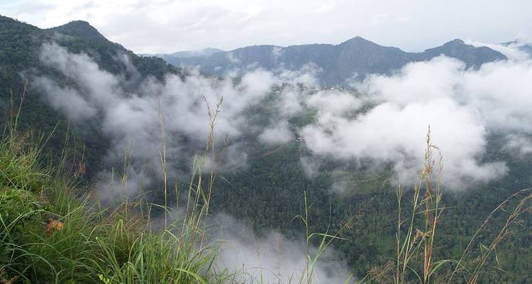 Una vista brumosa de una zona montañosa con vegetación exuberante.