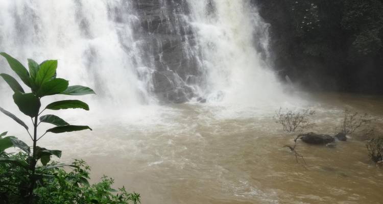 Una poderosa cascada rodeada de vegetación.