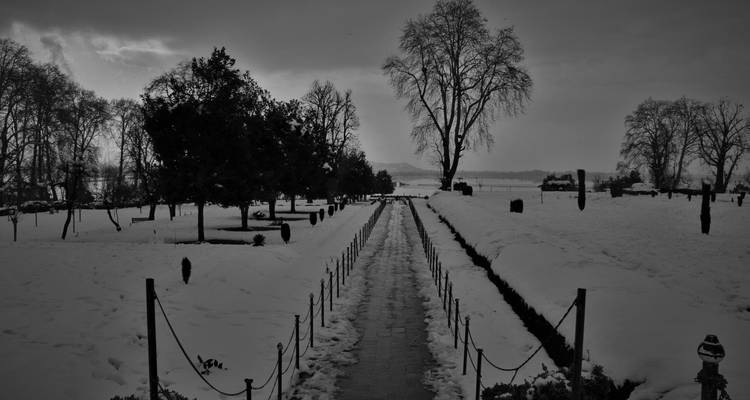 Un sentier enneigé traversant un jardin aux arbres nus.