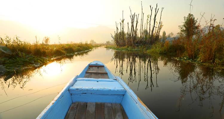 Un bateau sur un lac calme au lever du soleil entouré de végétation marécageuse.