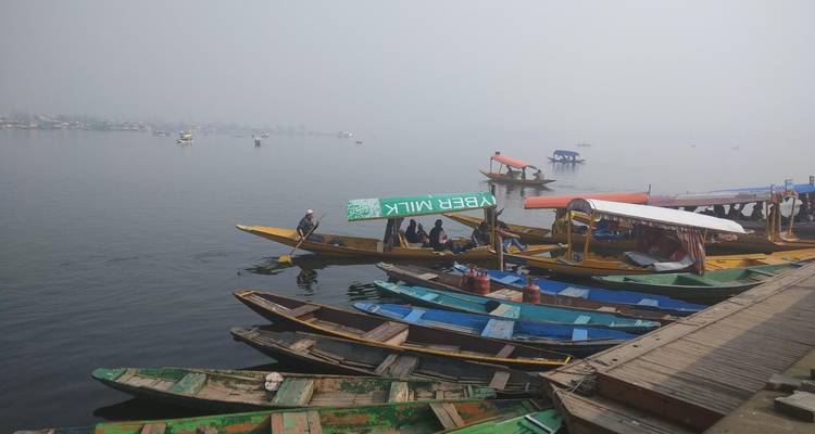 Divers bateaux amarrés au bord d'un lac brumeux.