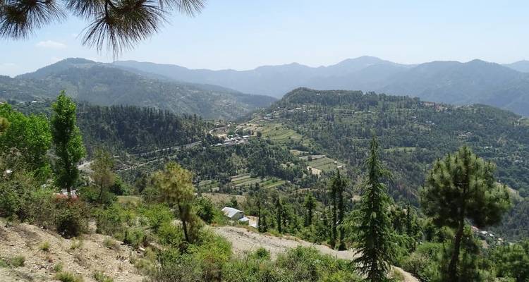 Vue panoramique de collines ondulantes et de forêts.