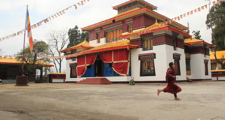 Retraite dans l'Himalaya oriental : Expédition à Darjeeling et Gangtok - Agora Voyages OPC Pvt Ltd 2