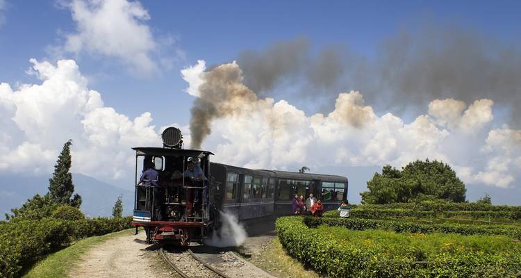 Locomotive à vapeur sur une route panoramique avec des passagers.