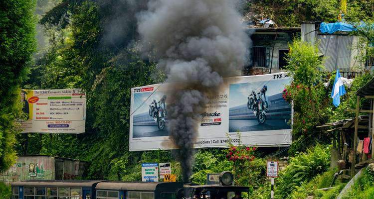 A steam train passing through a lush green area with billboards.
