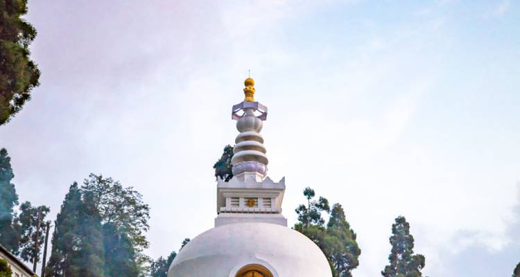 Majestad de la montaña: expedición a una plantación de té de Darjeeling - Agora Voyages OPC Pvt Ltd 10