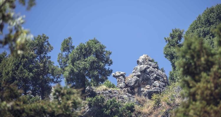 Mussoorie Majesty: Exploring the Queen of Hills - Agora Voyages OPC Pvt Ltd 6