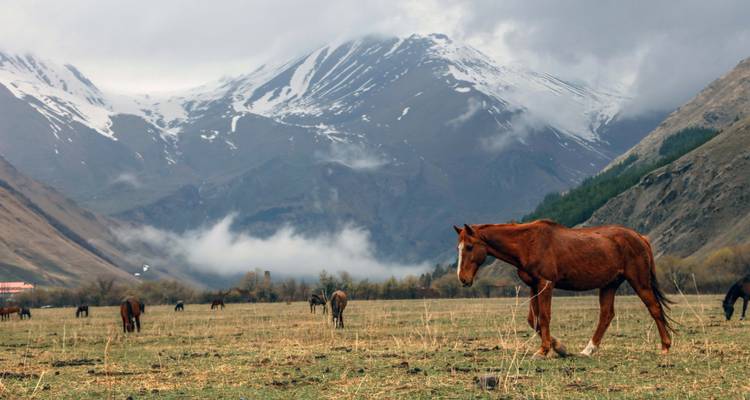 Private adventure journey to Georgia - Exotour Georgia 9