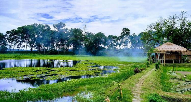 Scenic landscape with a hut near a pond and trees.